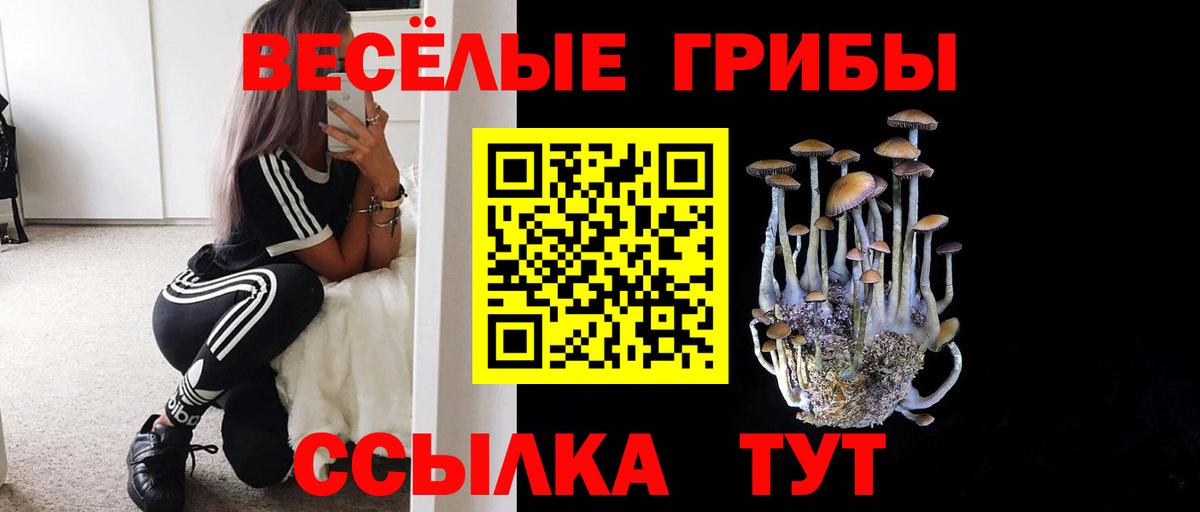 Псилоцибиновые грибы Magic Shrooms  Псилоцибиновые грибы GOLDEN TEACHER  Валуйки  Вход с VPN 